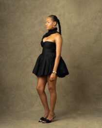 Lessie Mini Dress