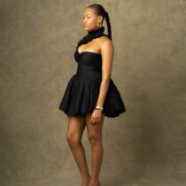 Lessie Mini Dress